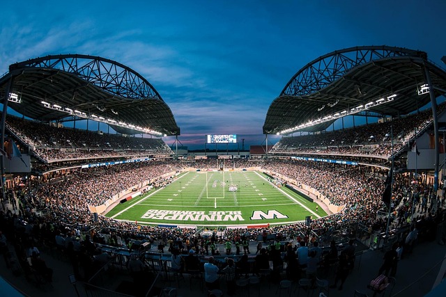 本泽马用行 本泽马用行