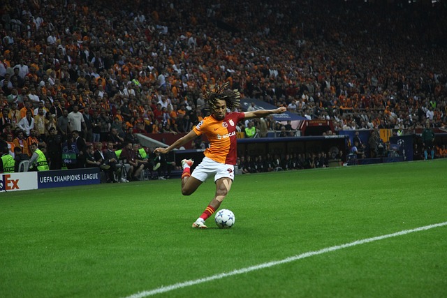 卢需要在极 卢需要在极